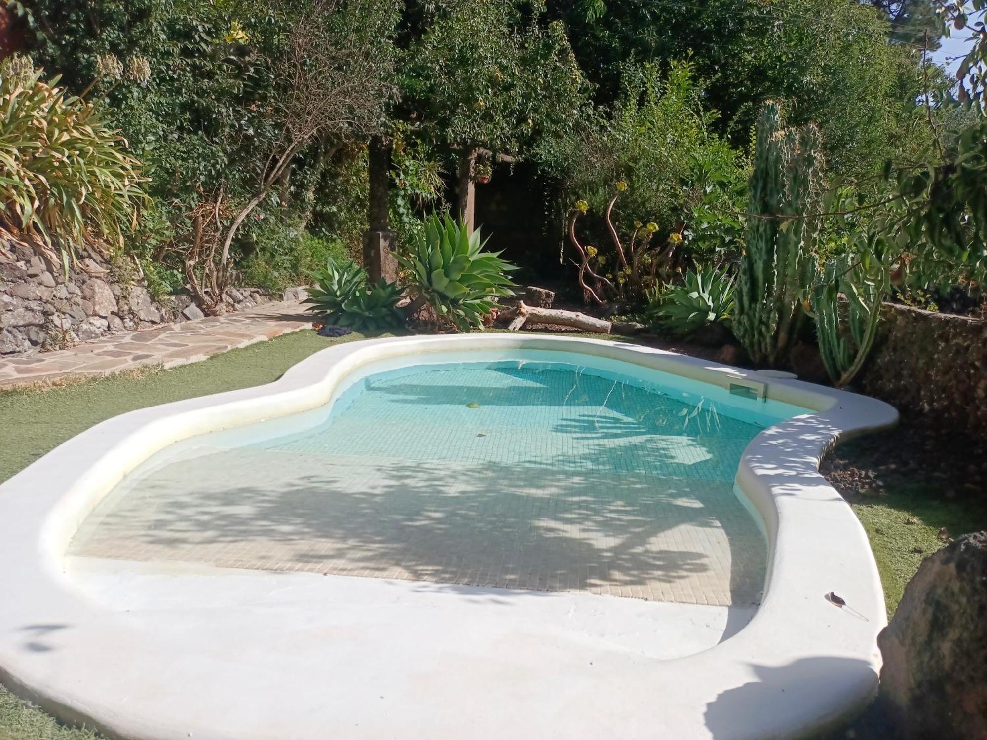 Los Matos, Canarian House In Valleseco Eksteriør bilde