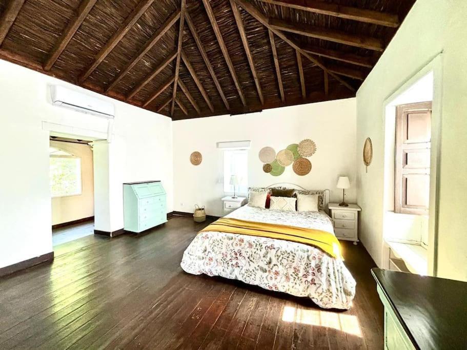 Los Matos, Canarian House In Valleseco Eksteriør bilde