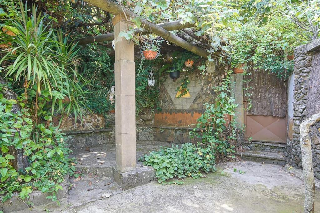 Los Matos, Canarian House In Valleseco Eksteriør bilde