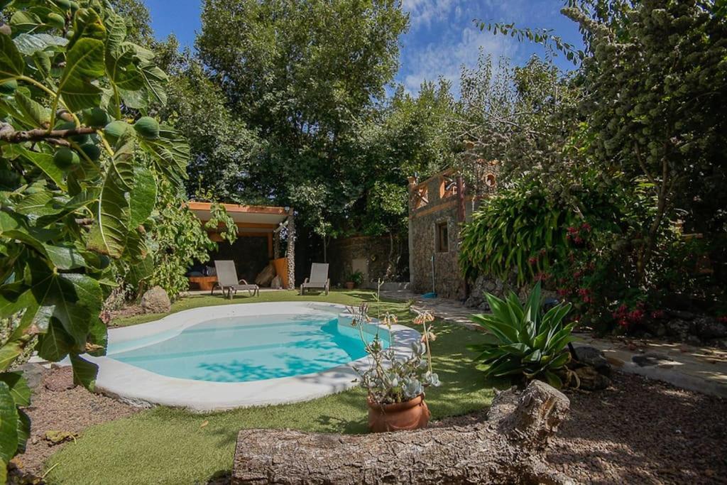 Los Matos, Canarian House In Valleseco Eksteriør bilde
