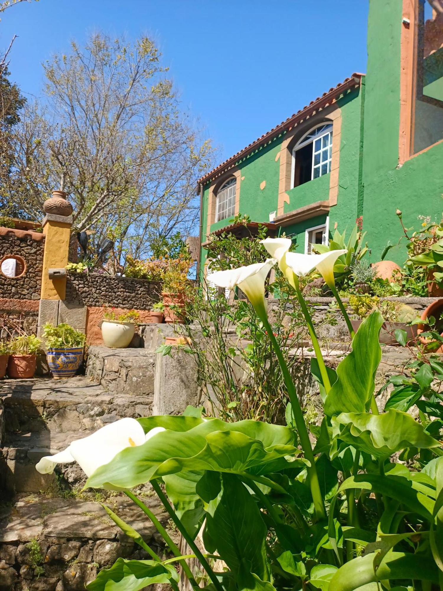 Los Matos, Canarian House In Valleseco Eksteriør bilde